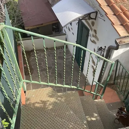 Antonella Panoramica